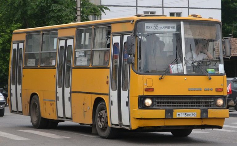 Икарус-260.37, Икарус-260.50 городской автобус