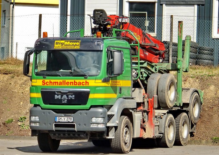 Road train «F. Schmallenbach GmbH» with Doll long timber trailer