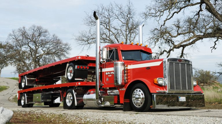 Peterbilt 379, chassis Kenworth W900L, truck tractor with day cabin with two semi-trailer- sites