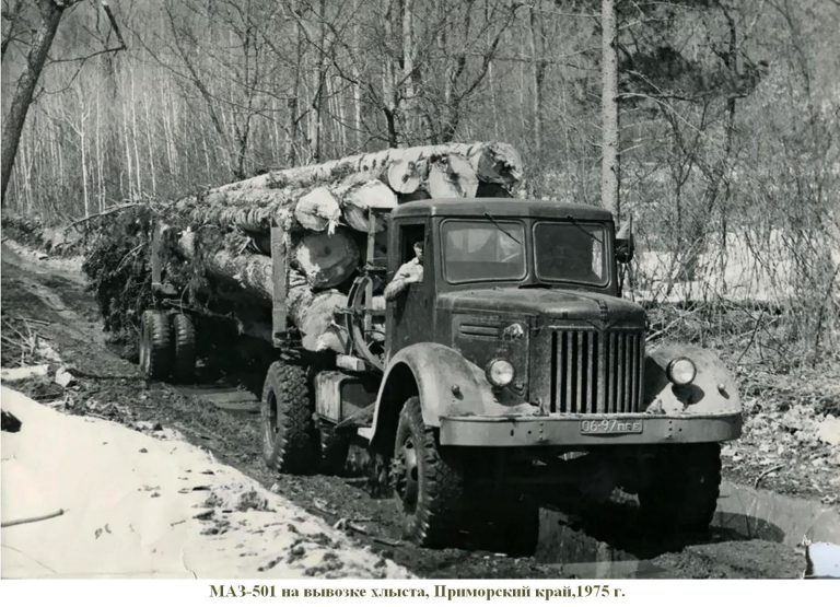 МАЗ-501 или МАЗ-501Б (с 1962 г.) 4х4 первый советский полноприводный тягач-лесовоз с прицепом-роспуском 2-Р-15(А и Т) или ТМЗ-803А